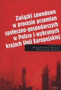 Picture of Związki zawodowe w procesie przemian społeczno-gospodarczych w Polsce i wybranych krajach Unii Europejskiej