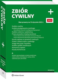 Picture of Kodeks cywilny. Kodeks postępowania cywilnego. Dochodzenie roszczeń w postępowaniu grupowym. Kodeks rodzinny i opiekuńczy. Prawo prywatne międzynarodo