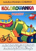 Nauka pisa... - Beata Guzowska -  books from Poland