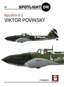 Picture of Ilyushin Il-2: 22 Spotlight On