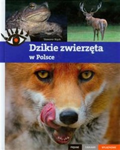 Picture of Dzikie zwierzęta w Polsce Piękne ciekawe wyjątkowe