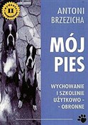 Książka : Mój pies  ... - Antoni Brzezicha