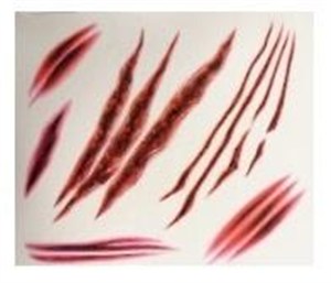 Obrazek Tatuaże zmywalne na ciało