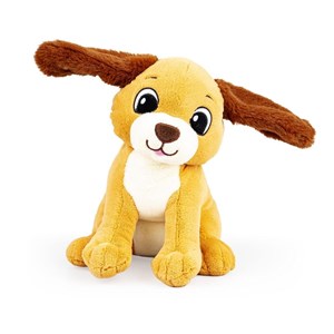 Picture of Uszaty piesek Rafi