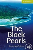 The Black ... - Richard MacAndrew -  Polish Bookstore 