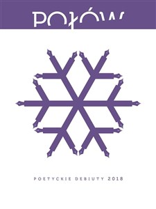 Picture of Połów Poetyckie debiuty 2018
