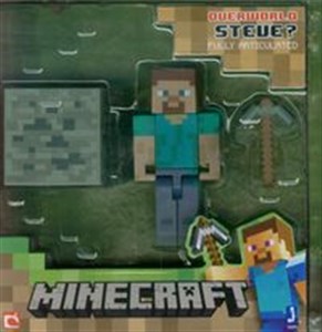 Picture of Minecraft Figurka Steve + akcesoria