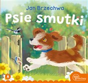 Zobacz : Psie smutk... - Jan Brzechwa, Kazimierz Wasilewski