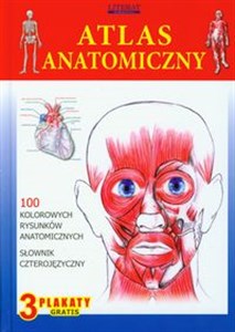 Picture of Atlas anatomiczny