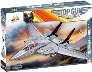 Picture of Top Gun - Grumman(R) F-14 Tomcat