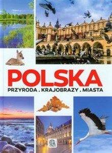 Obrazek Polska Przyroda Krajobrazy Miasta