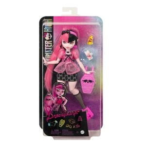 Obrazek Monster High. Lalka z akcesoriami HKY71