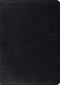 Picture of ESV Archaeology Study Bible (Black)