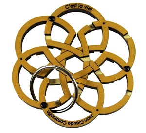 Obrazek Łamigłówka C'est La Vie Recent Toys poziom 4/5