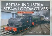 Książka : British In... - David Mather