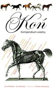 Obrazek Koń Kompendium wiedzy