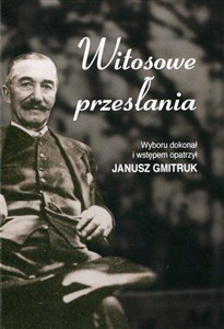 Obrazek Modernizm(y) słowiański(e) w anturażu czułości