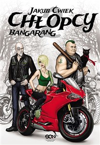 Picture of Chłopcy 2 Bangarang