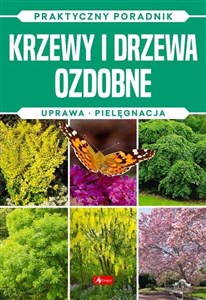 Picture of Krzewy i drzewa ozdobne. Praktyczny poradnik