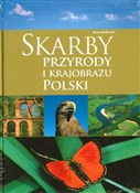 Skarby prz... - Olaczek Romuald -  Polish Bookstore 