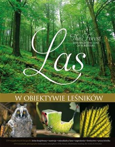Picture of Las w obiektywie leśników The forest through the lens of foresters