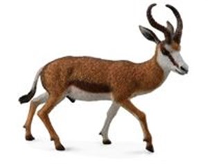 Obrazek Kozioł springbok (dzikie - l)