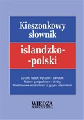 Książka : Słownik ki... - Viktor Mandrik