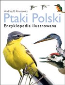 Ptaki Pols... - Andrzej G. Kruszewicz -  foreign books in polish 