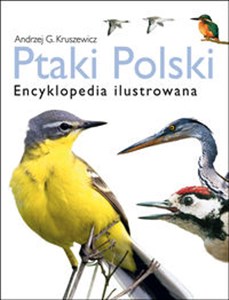 Obrazek Ptaki Polski Encyklopedia ilustrowana