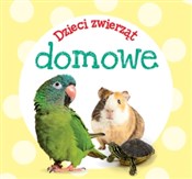 Dzieci zwi... -  foreign books in polish 