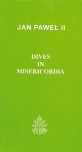 Picture of Dives in Misericordia