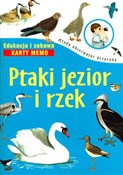 polish book : Ptaki jezi... - Michał Brodacki