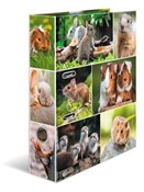 Segregator... -  Polish Bookstore 