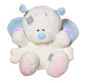 Picture of Niebieski nosek - motyl Brizze