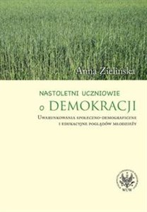 Obrazek Nastoletni uczniowie o demokracji Uwarunkowania społeczno-demograficzne i edukacyjne poglądów młodzieży