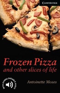Picture of Frozen Pizza and Other Slices of Life Level 6