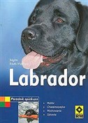 Zobacz : Labrador P... - Brigitte Rauth-Widmann