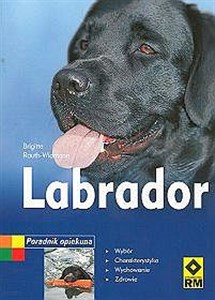 Obrazek Labrador Poradnik opiekuna