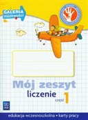 Mój zeszyt... - Michał Lisicki, Małgorzata Skura -  Polish Bookstore 