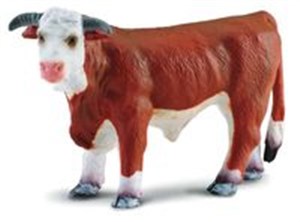 Obrazek Byk rasy hereford L