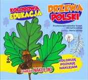 Polska książka : Kolorowa e... - Michał Kryciński, Krystyna Jędrzejewska-Szmek