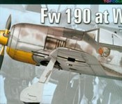 FW 190 at ... - Maciej Góralczyk, Janusz Światłoń -  books in polish 