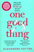 One Good T... - Alexandra Potter -  foreign books in polish 