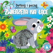 Dotknij i ... - Grażyna Wasilewicz -  books in polish 