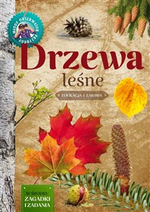 Picture of Drzewa leśne Młody Obserwator Przyrody
