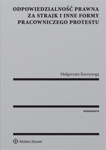 Picture of Odpowiedzialność prawna za strajk i inne formy pracowniczego protestu