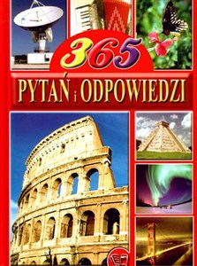 Obrazek 365 Pytań i odpowiedzi