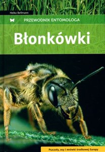 Picture of Błonkówki Przewodnik entomologa