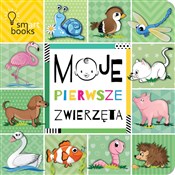 Zobacz : Moje pierw...