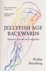 Obrazek Jellyfish Age Backwards